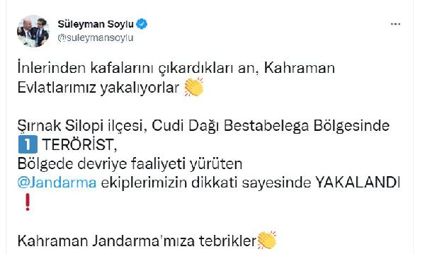 Şırnak'ta 2 terörist yakalandı