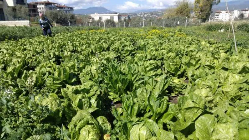 Depremzede üreticiden 'Ürünlerimizi alın' çağrısı