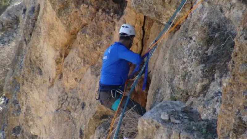 Kayalıklarda mahsur kalan keçiyi dağcı öğretmen kurtardı