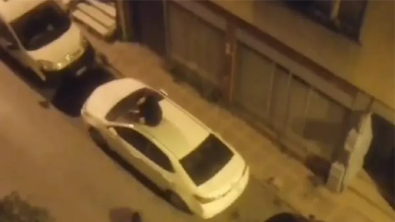 Bayrampaşa'da pitbull korkusu otomobilin üzerine çıkardı