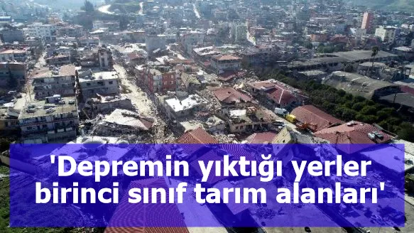 'Depremin yıktığı yerler birinci sınıf tarım alanları'
