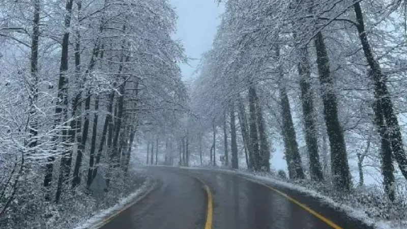 Ordu'da kar yağışı etkili oldu