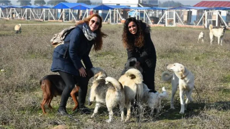 2 kadının kurduğu 'Merhamet Bahçesi', sokak hayvanlarına yuva oldu