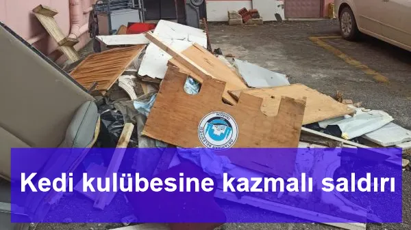 Kedi kulübesine kazmalı saldırı