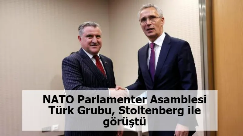 NATO Parlamenter Asamblesi Türk Grubu, Stoltenberg ile görüştü