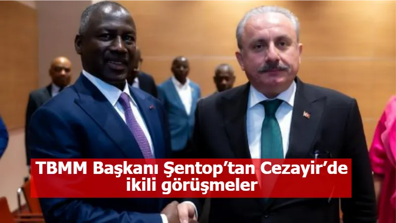 TBMM Başkanı Şentop’tan Cezayir’de ikili görüşmeler