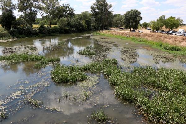 Tunca Nehri'nde debi düştü, yüzeyi çöp ve otlarla kaplandı