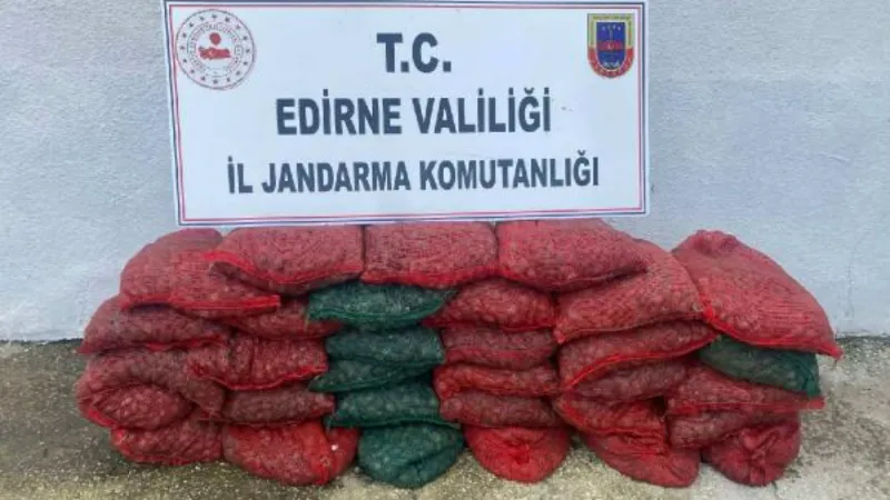 1 ton kaçak midye ile yakalanan 2 kişiye 148 bin lira ceza