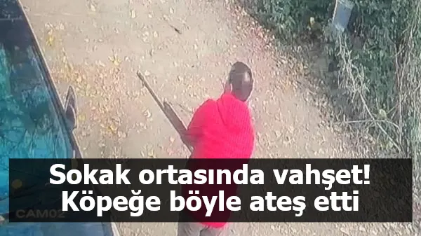 Sokak ortasında vahşet! Köpeğe böyle ateş etti