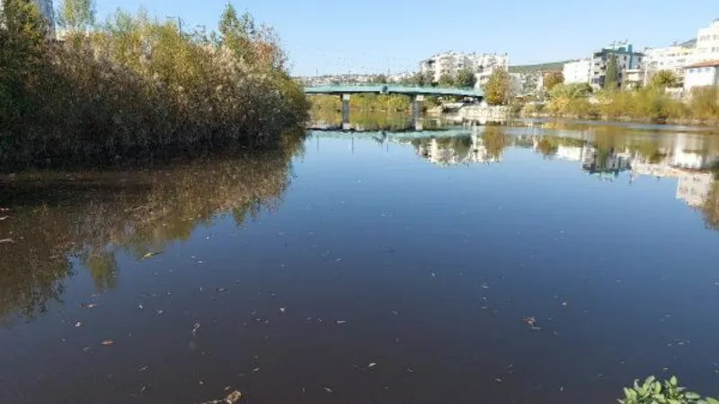 Kuş cennetinden geçip denize dökülen Göksu Nehri'nde su siyaha döndü