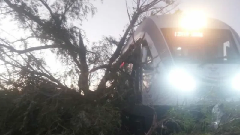 Rayların kenarındaki ağaç, geçişi sırasında trenin üzerine devrildi