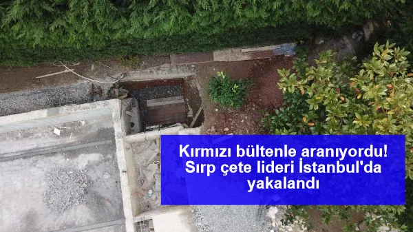 Kırmızı bültenle aranıyordu! Sırp çete lideri İstanbul'da yakalandı