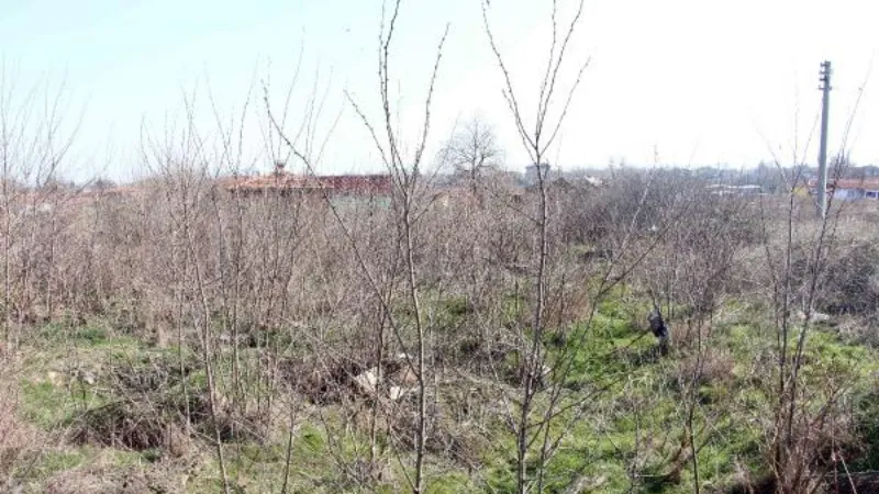 Prof. Dr. Beksaç: Edirne'deki Katolik mezarlığını defineciler tahrip etti