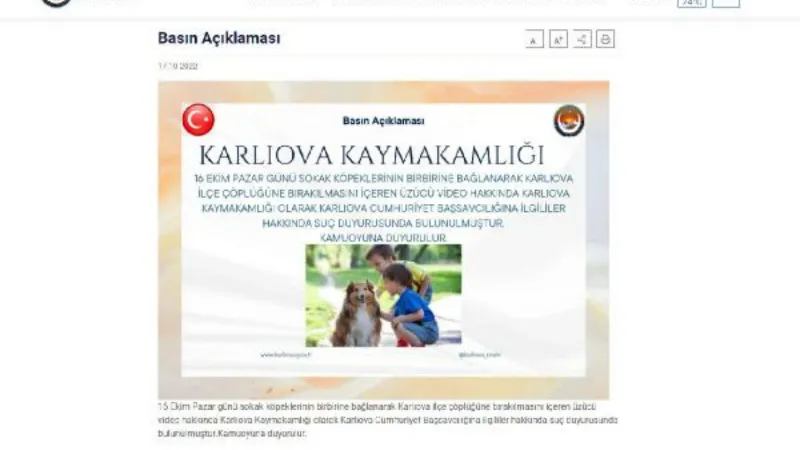 Karlıova'da köpekler bağlanıp çöplüğe bırakıldı; inceleme başlatıldı