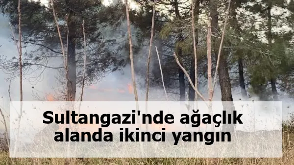 Sultangazi'de ağaçlık alanda ikinci yangın