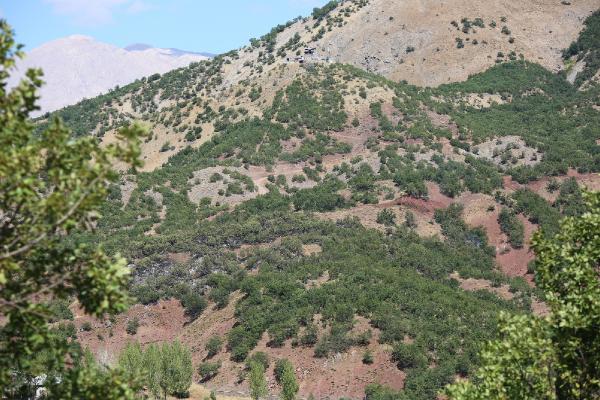 Tunceli’de, Milli parktaki yangın 12 saat sonra söndürüldü