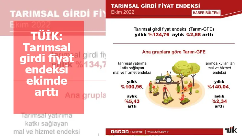 TÜİK: Tarımsal girdi fiyat endeksi ekimde arttı