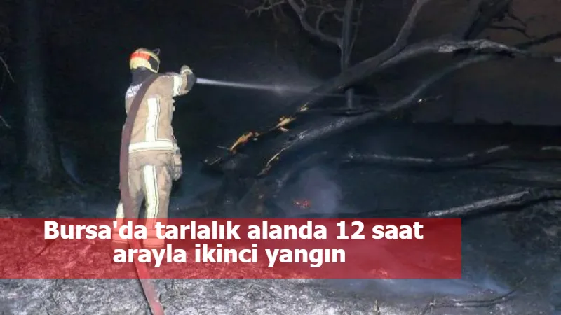 Bursa'da tarlalık alanda 12 saat arayla ikinci yangın