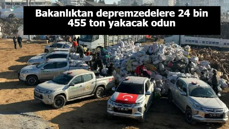 Bakanlıktan depremzedelere 24 bin 455 ton yakacak odun