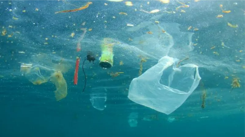 TÜBİTAK, akademisyenlerin mikroplastik araştırma projesini destekleyecek