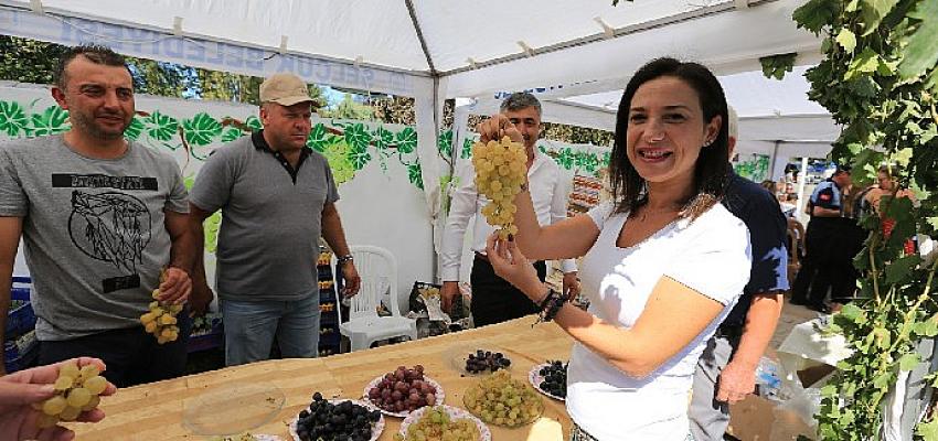 Şerefine Salkım Hanım Osmancık Üzüm Şenliği Bu Pazar Gökçealan’da