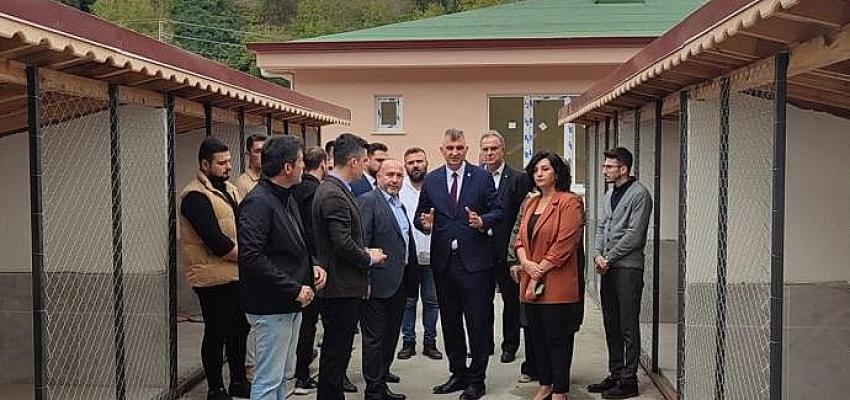 Gölcük'te Can dostlarının yeni yuvası tamamlanıyor