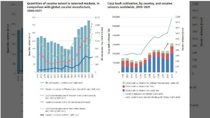 BM: Kokain üretimi son 2 yılda önemli ölçüde arttı