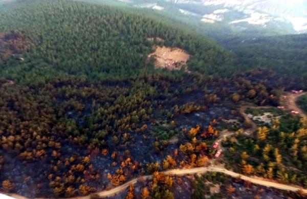 Soma'daki orman yangını 12 saatte kontrol altında