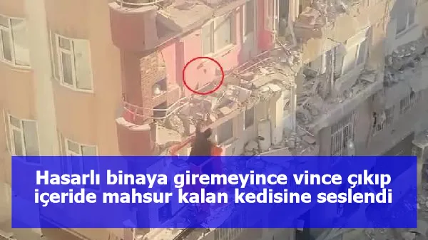 Hasarlı binaya giremeyince vince çıkıp içeride mahsur kalan kedisine seslendi