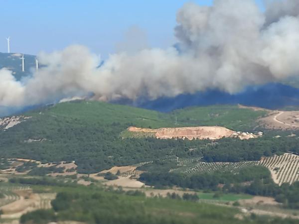 Manisa'da orman yangını