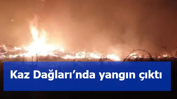 Kaz Dağları’nda yangın çıktı