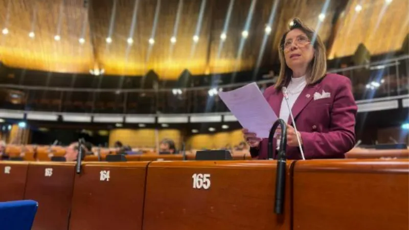 Milletvekili Günay, Avrupa Konseyi Parlamenter Meclisi’ne hitap etti: Göz yummak teşvik etmektir