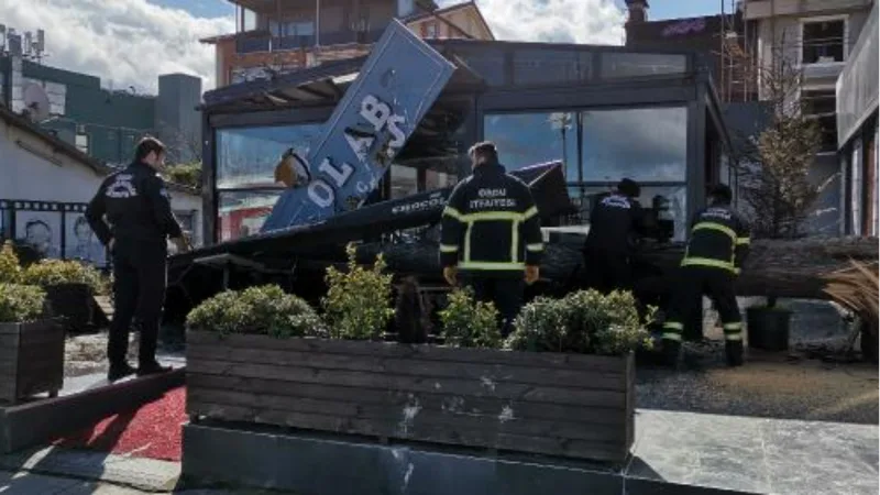 Ordu’da fırtınanın devirdiği ağaç, iş yeri ile otomobile zarar verdi