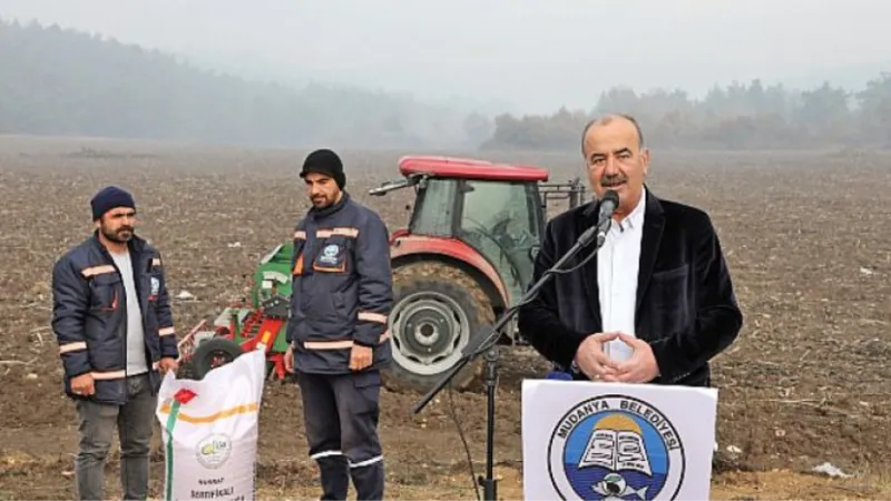 Mudanya Belediyesi Buğday Tohumlarını Toprakla Buluşturdu