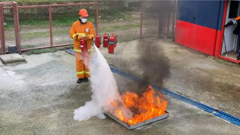 Midye kabuğundan yangın boğucu biyolojik toz üretildi