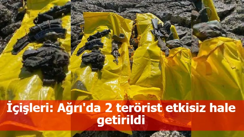 İçişleri: Ağrı'da 2 terörist etkisiz hale getirildi