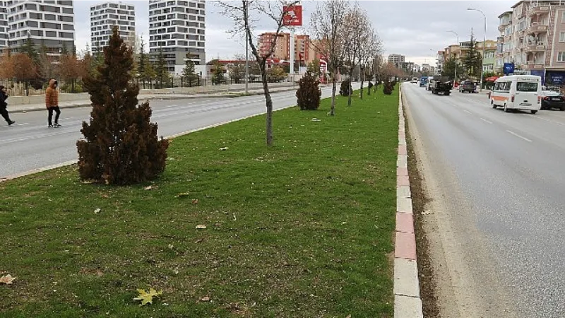 Karaman Belediyesi: Altyapı ve Üst Yapı Çalışmaları Hız Kesmeden Sürüyor