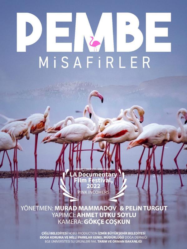 'Pembe Misafirler'e, Los Angeles'ta 'en iyi çevre filmi' ödülü