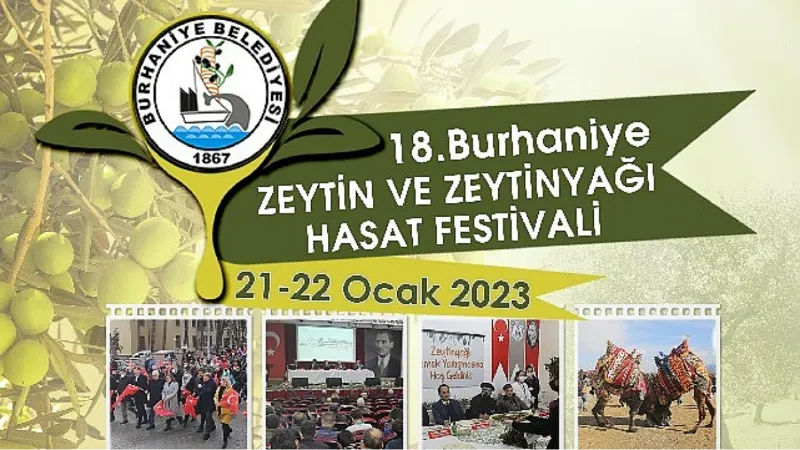 Burhaniye Zeytin Hasat Festivaline Geri Sayım Başladı