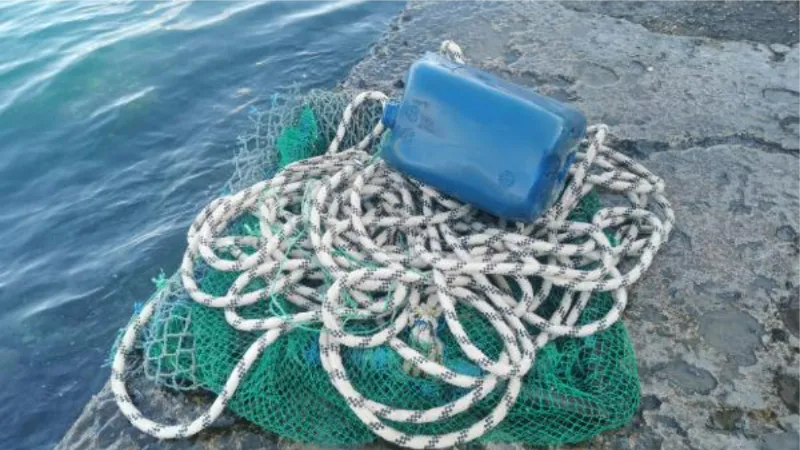 Marmara Denizi'nde kaçak avlanan 1 ton midye ele geçirildi  