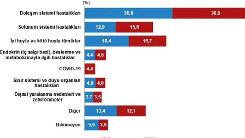 Ölüm sayısı 2020 yılında 507 bin 938 oldu