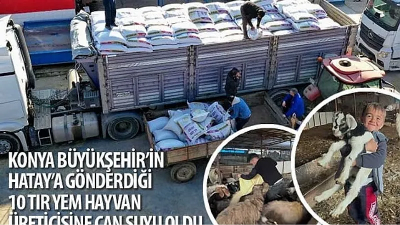 Konya Büyükşehir'in Hatay'a Gönderdiği 10 Tır Yem Hayvan Üreticisine Can Suyu Oldu