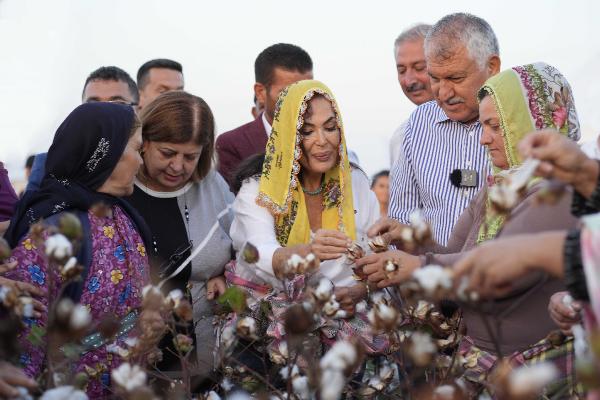 Türkan Şoray, adının verildiği pamuğun hasadına katıldı