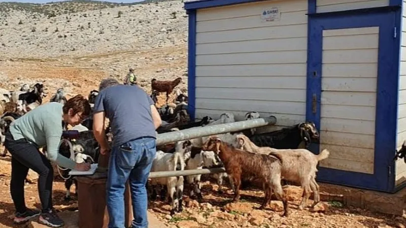 DEÜ Ekipleri, Deprem Atıklarının Bertarafı İçin Çalışıyor