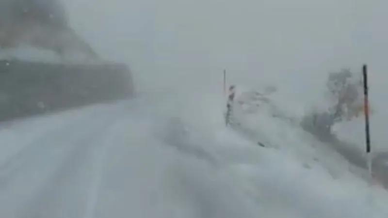 Tunceli'de kar yağışı başladı: Valilik uyarı yaptı