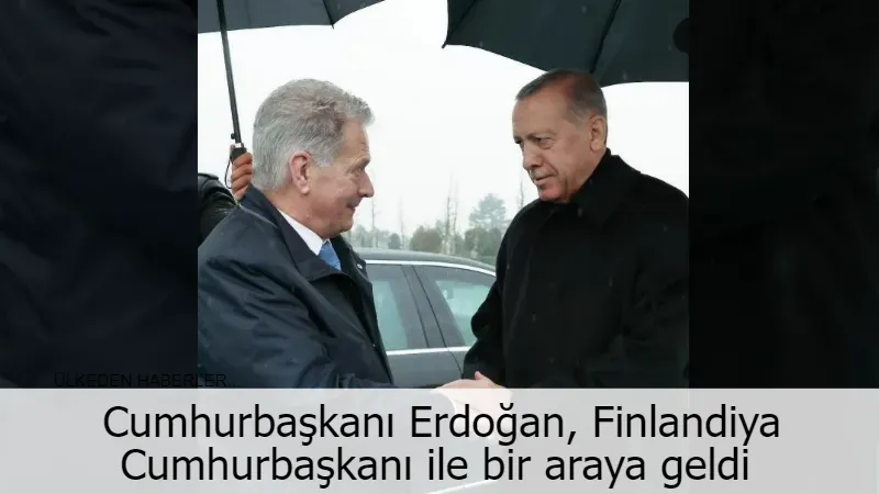 Cumhurbaşkanı Erdoğan, Finlandiya Cumhurbaşkanı ile bir araya geldi