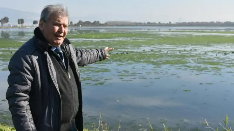 Prof. Dr. Yaşar: Bu sene İzmir Körfezi'nde deniz marulu hiç bitmedi