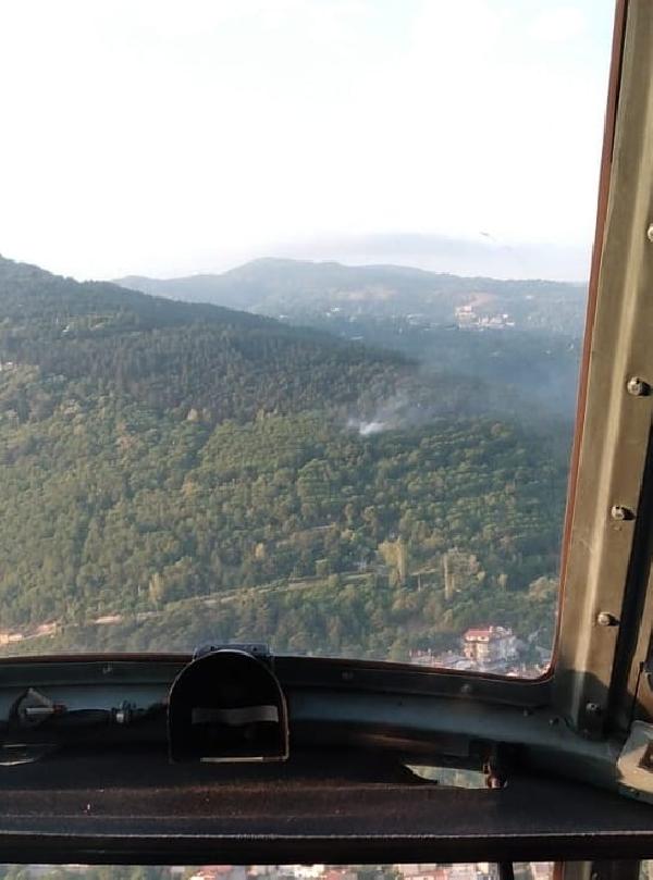 Uludağ eteklerinde orman yangını