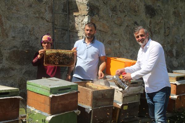 Anzer balında sağım başladı; 1 ton ön sipariş var