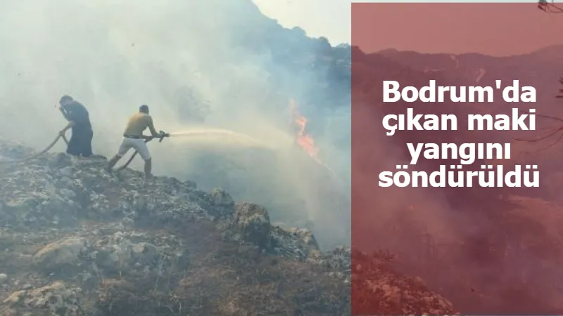 Bodrum'da çıkan maki yangını söndürüldü